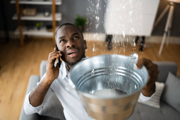 Best 24/7 water damage repair  in Oberlin, OH