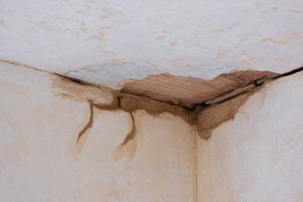 Best Flooded house restoration  in Oberlin, OH