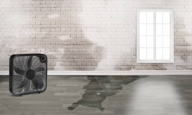 Oberlin, OH Water damage restoration Company
