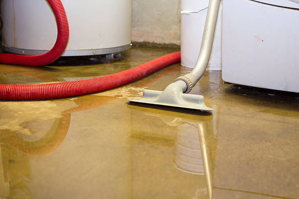 Best Basement water damage restoration  in Oberlin, OH