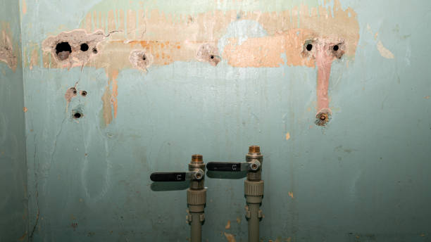 Best Water damage restoration services  in Oberlin, OH