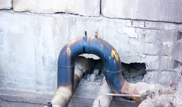 Best Mold removal after water damage  in Oberlin, OH