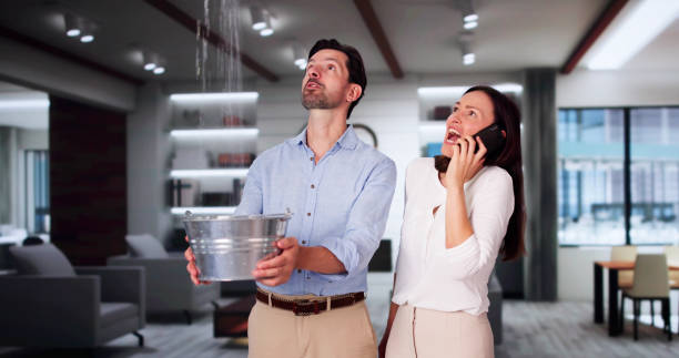 Best Professional water damage repair  in Oberlin, OH