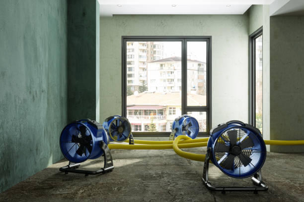 Best Mold removal after water damage  in Oberlin, OH